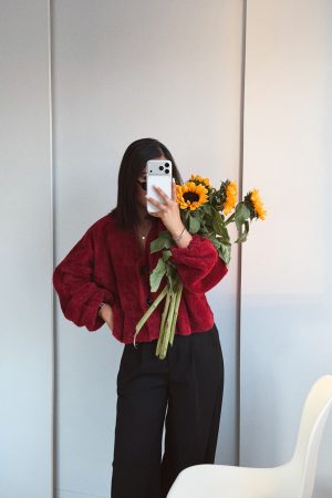 جکت تدی چری